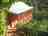 Ruhija Community Rest Camp: Verandah for views over the valley