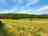 Sprigg Farm: Plenty of space, with a view of the woods