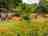 Heathside Holidays: Glamping pods (photo added by manager on 23/06/2014)