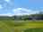 Trefewha Farm: Freshly mowed pitches with natural wild flower borders (photo added by manager on 07/10/2024)