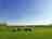 Knotlow Farm: Camping field