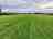 The Lazy Buzzards: View over the pitches 