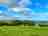 Mattiscombe Farm Camping: Visitor image of their view