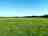 Snettisham Meadows: The camping field 