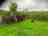 Morelands Copse Camping: Secluded pitch