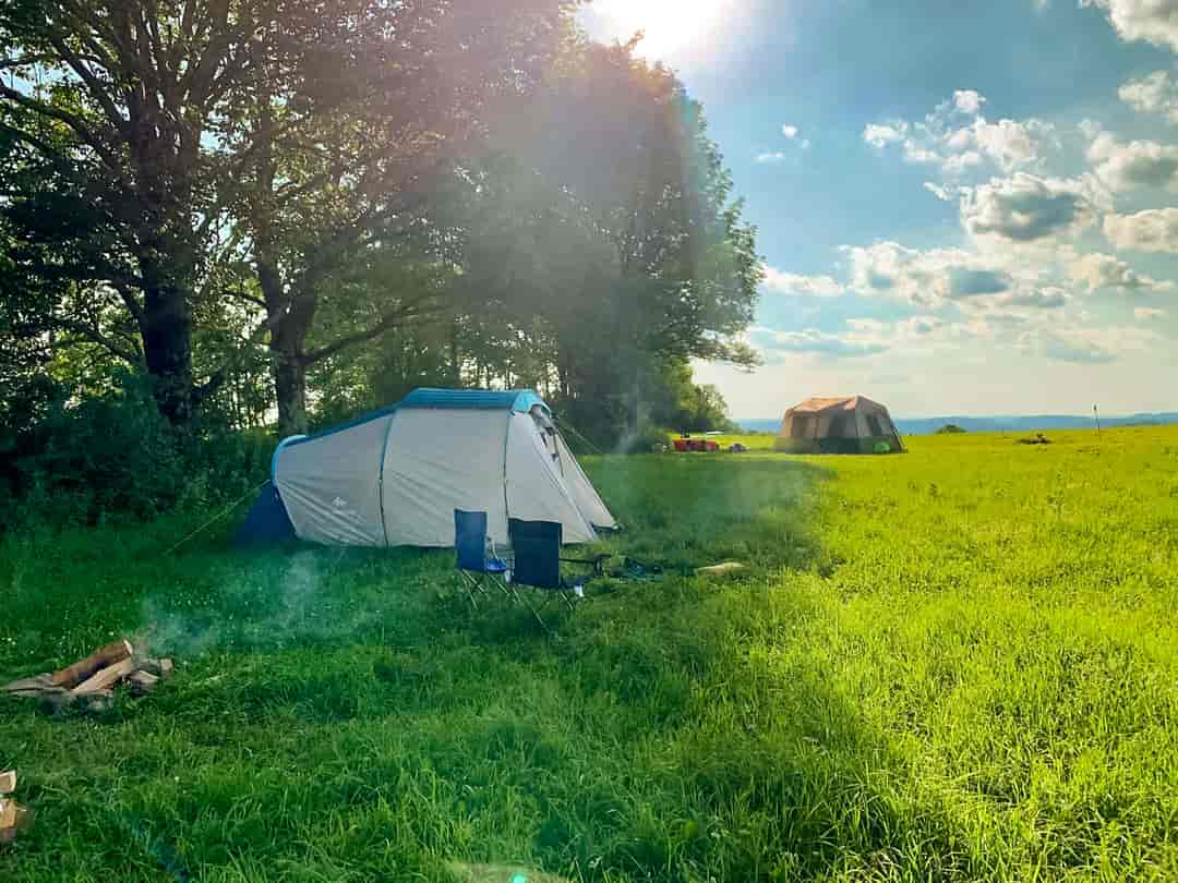 Wahl Farm Camping: Shaded spots for summer guests