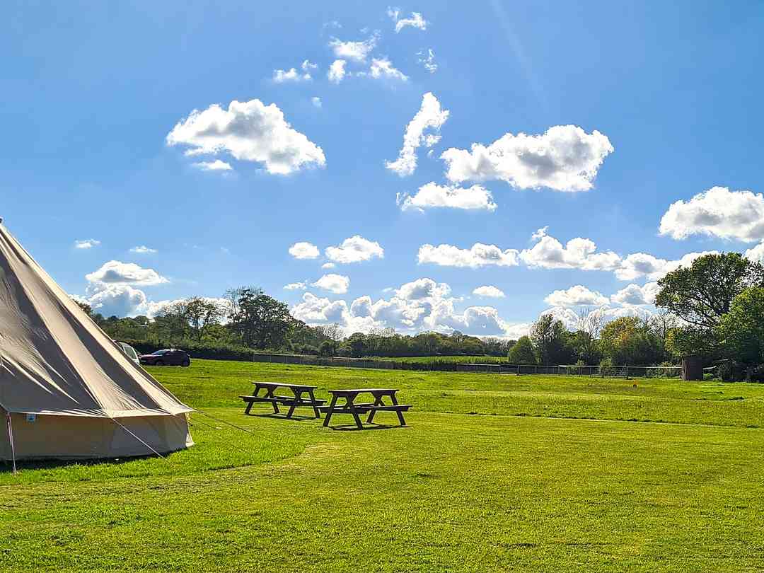 Buckland Farm Camping （经理于2024年10月10日添加的照片）