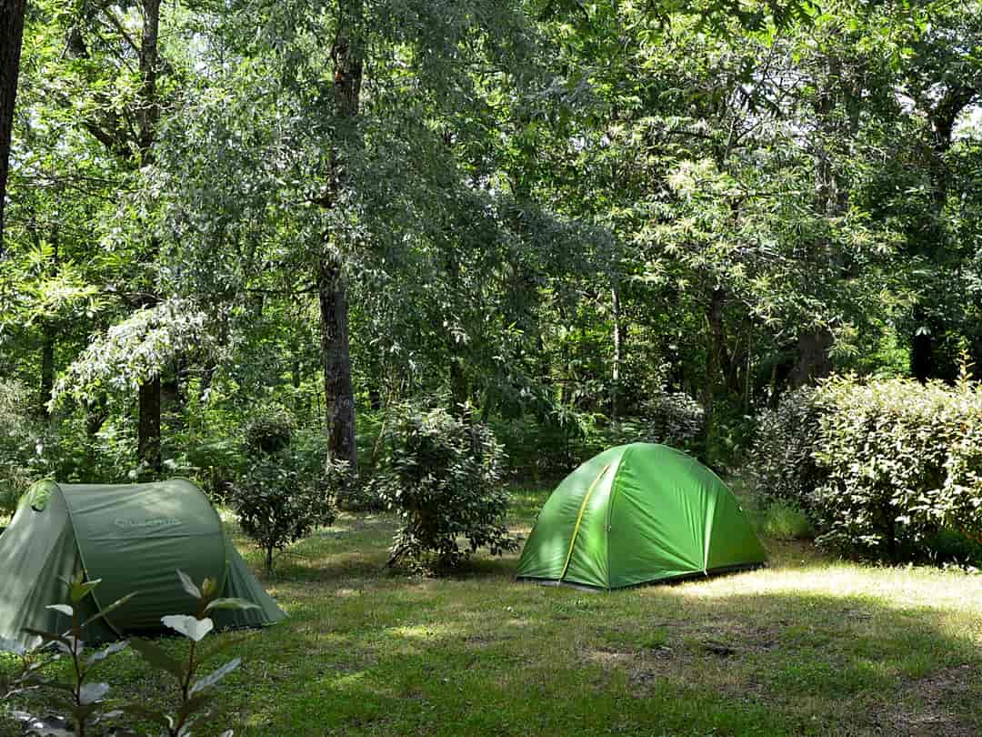 Camping Étang Vallier: Shaded site