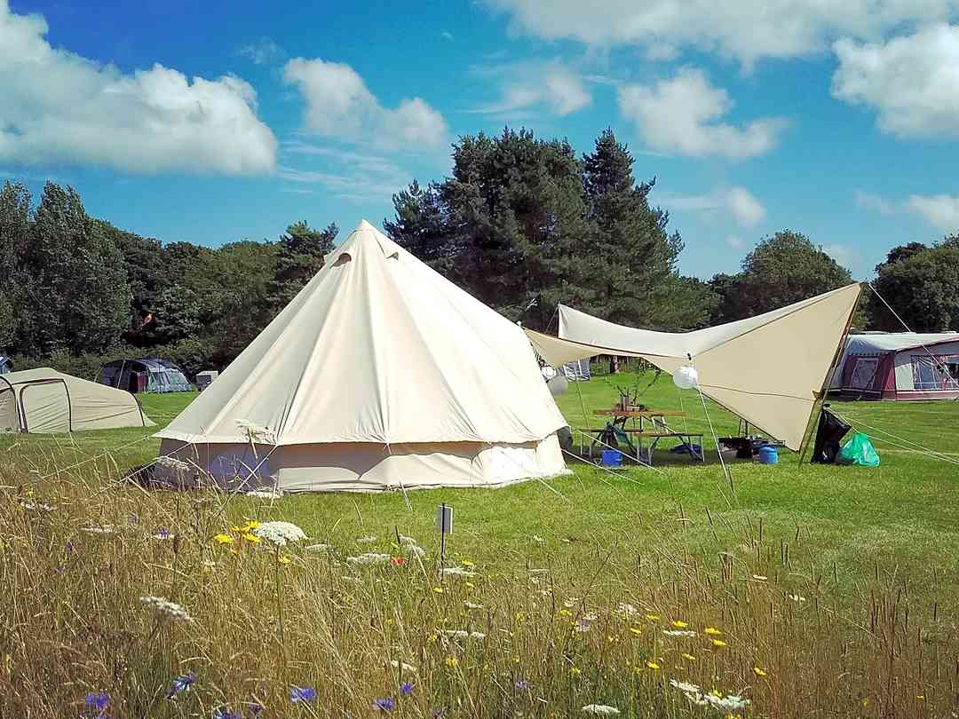 Ninham Country Holidays Shanklin Updated 2021 Prices Pitchup