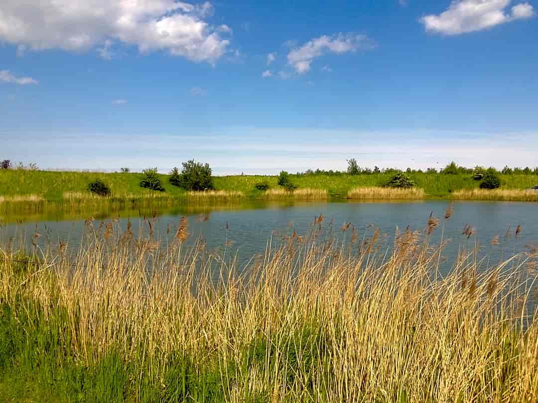 Ashleigh Lakes: Fishing lake