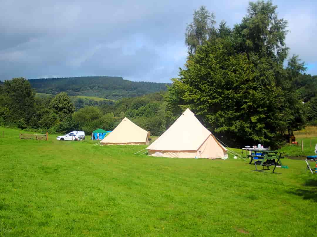 Willow Stream Camping
