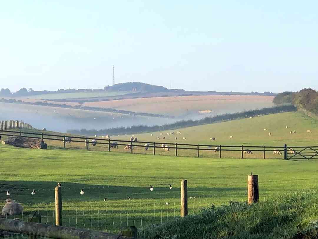 Dewflock Farm
