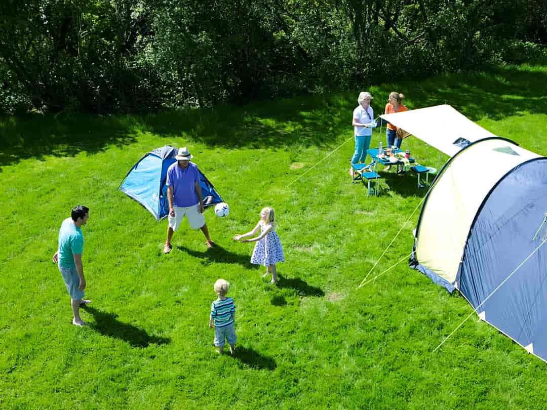 Lizard Point Holiday Park: Spacious pitches