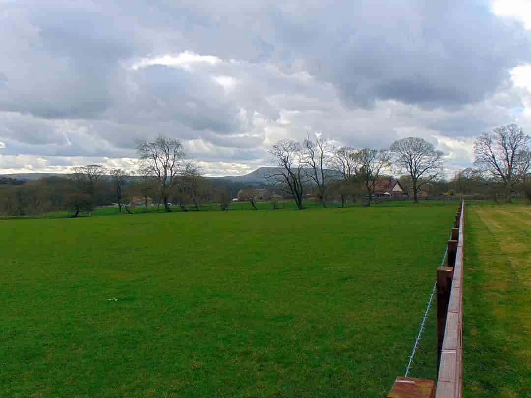 Manor House Farm Park: Edge for site