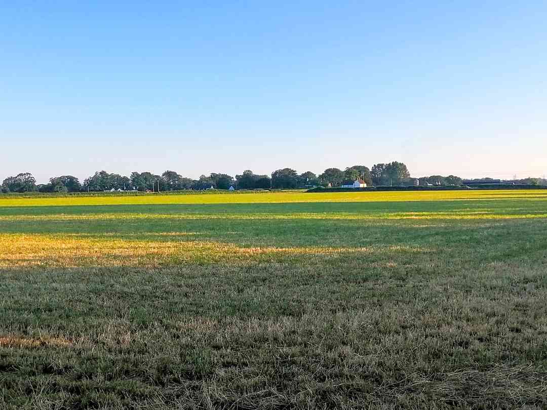 Summers Camp (fotot lades till av föreståndaren 2022-08-19)