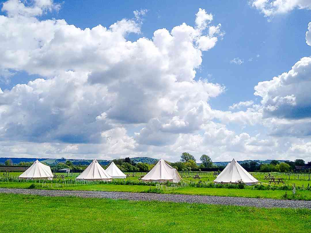 Orchard View Farm: View over Glamping field (photo added by manager on 16/08/2022)