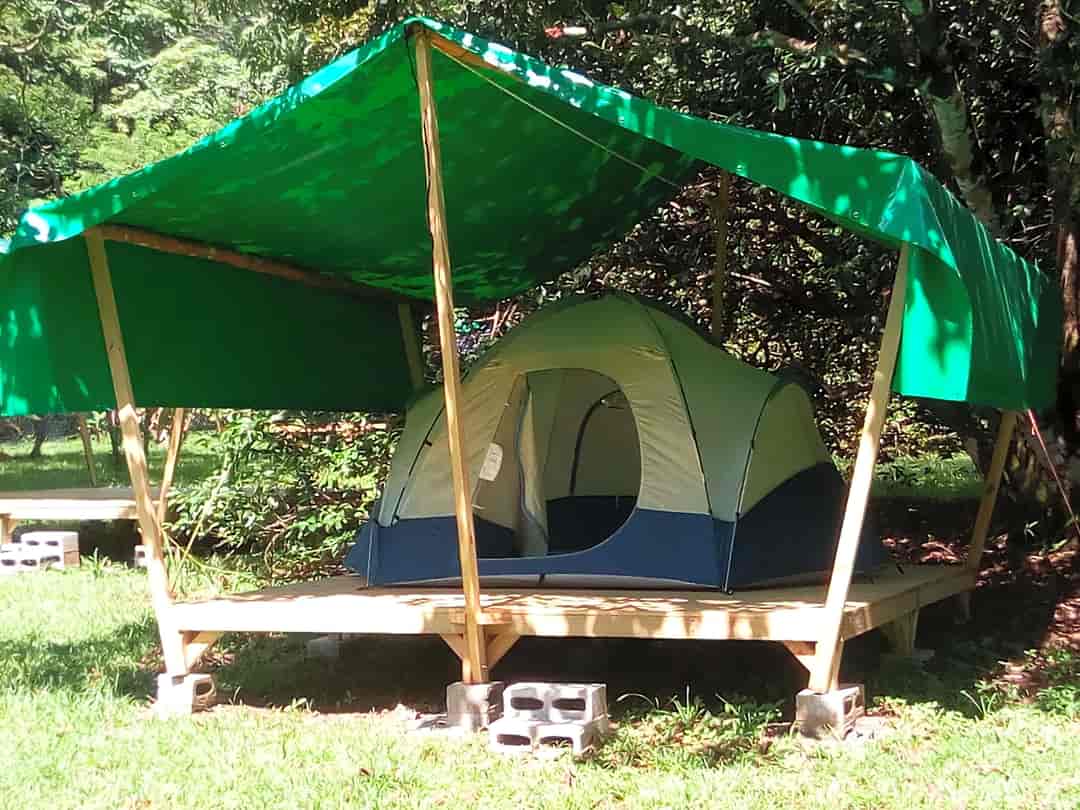 Pineapple Creek Camping: Tent under a canopy