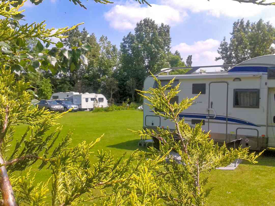 Redbrick Barn Campsite: A summer day on the field