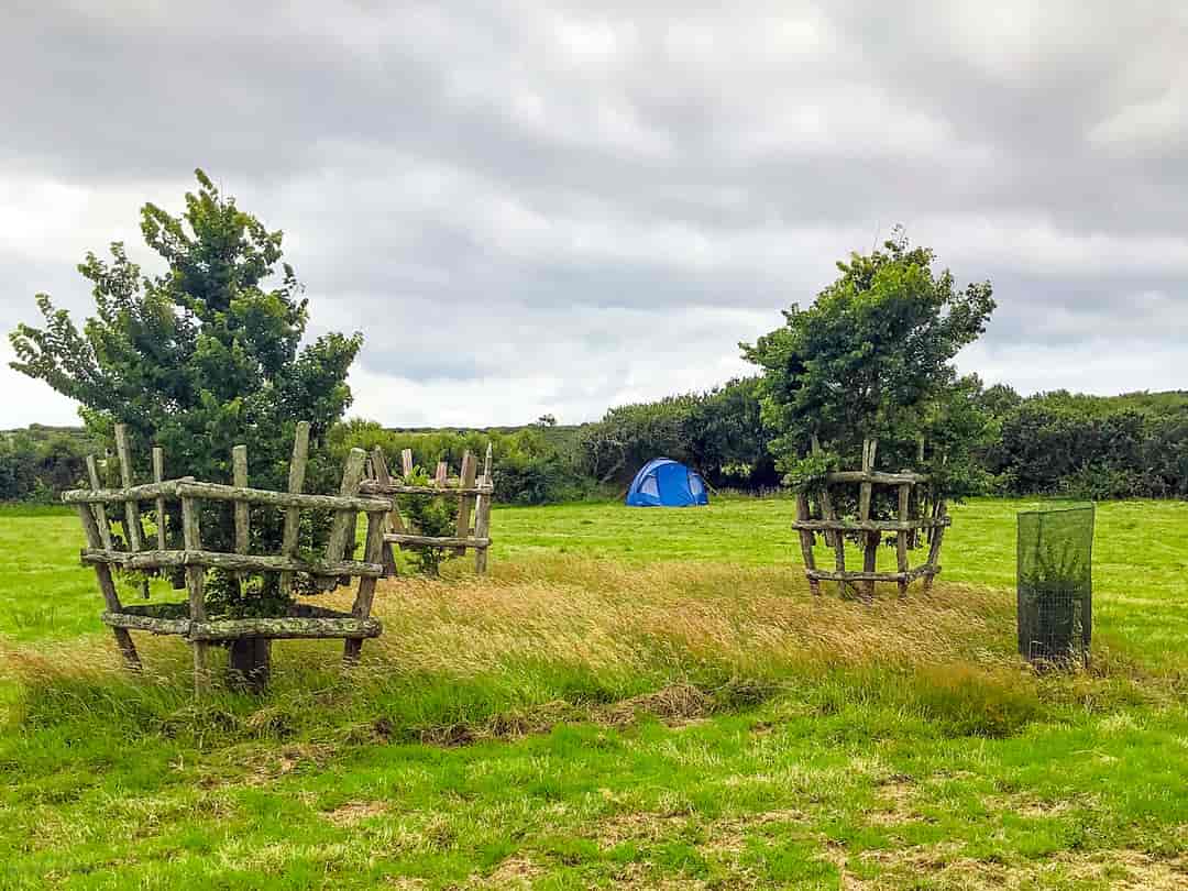 Elowen Fild: Grass pitch on site