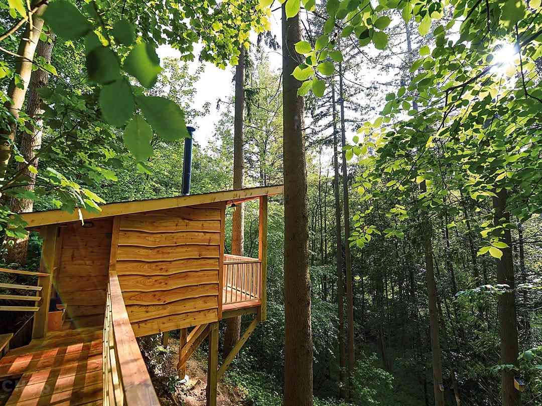 Redwood Valley - Woodland Cabin and Yurts: Elevated walkway to private compost toilet (photo added by manager on 13/10/2022)