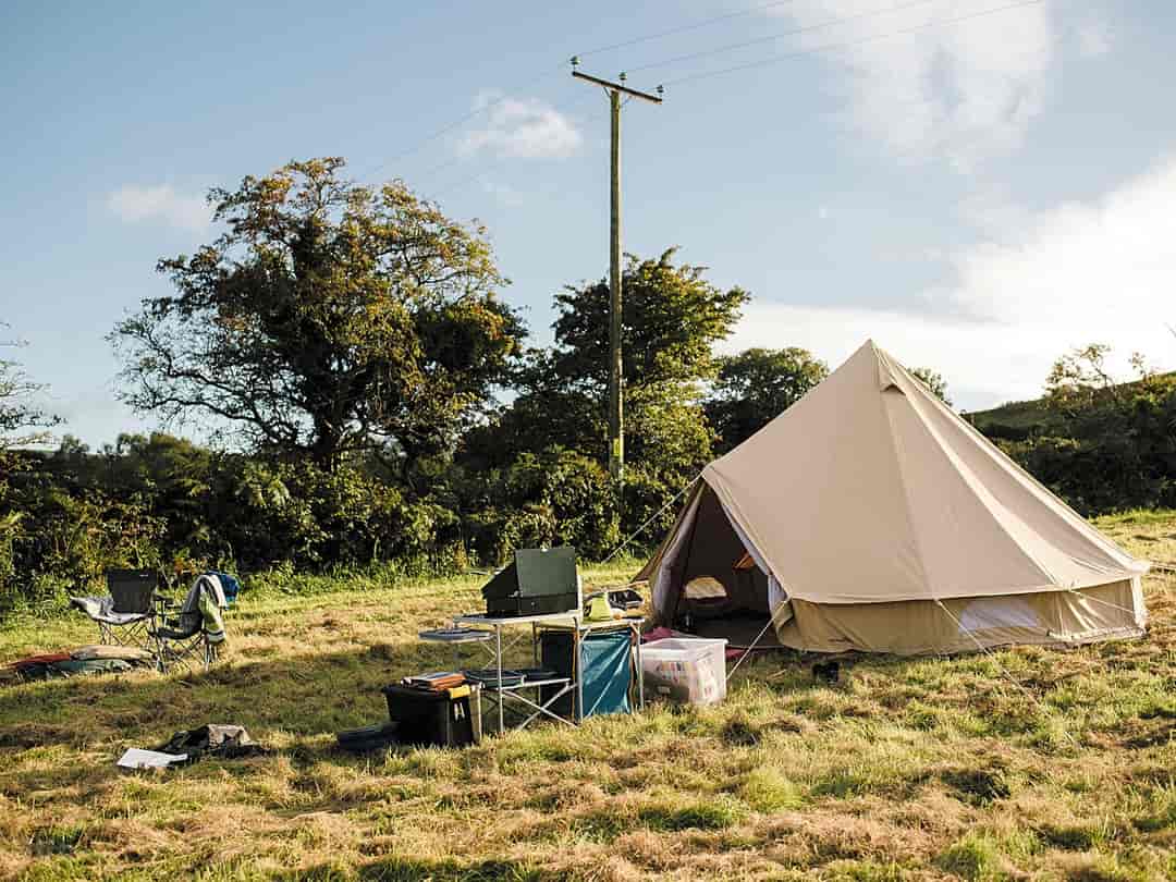 Brithdir Mawr Wild and Eco Camping: Lots of space to pitch up