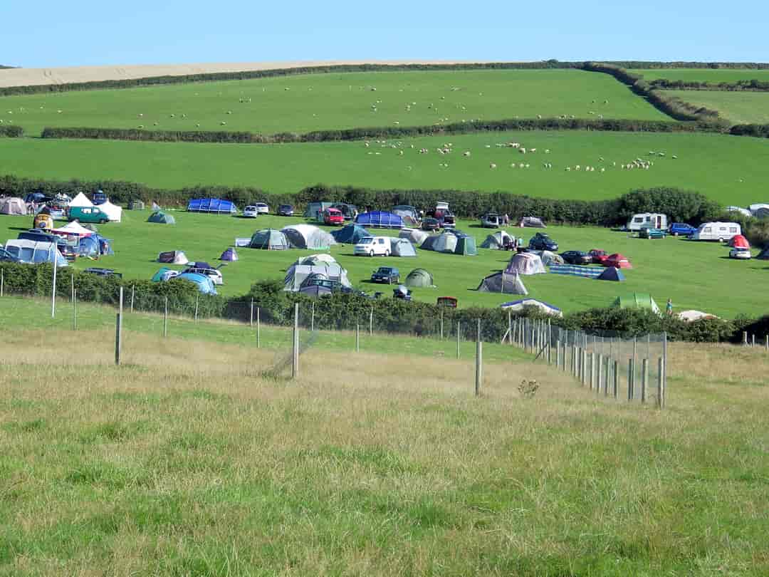 Incledon Farm Campsite: Surrounded by fields