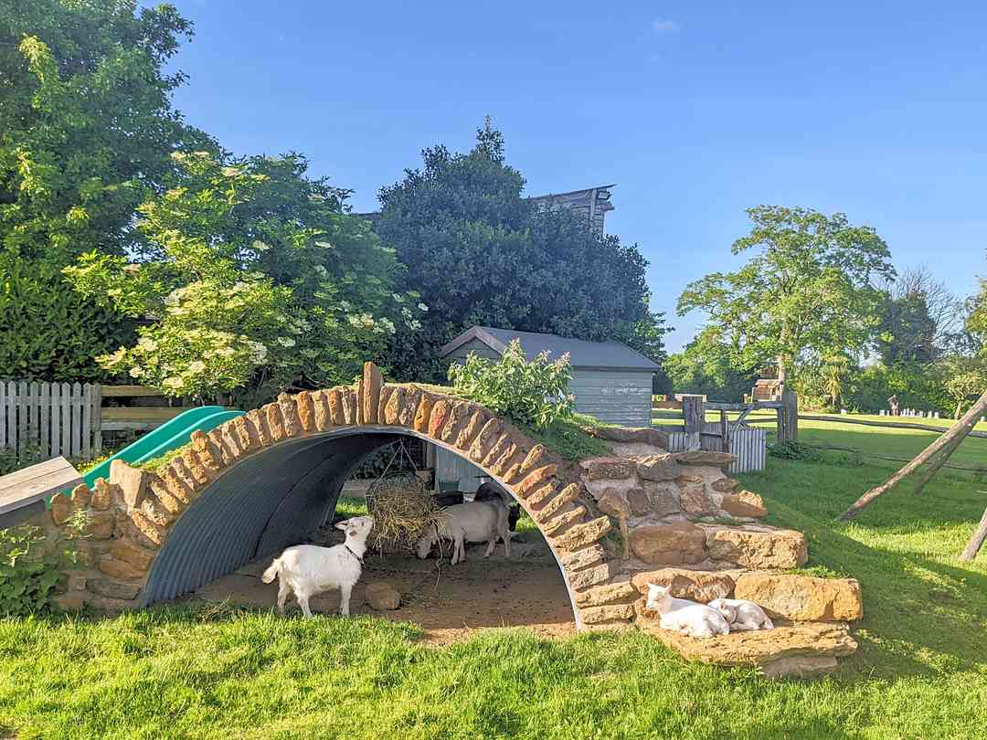 The Old Dairy Farm Caravan and Camping: Goat enclosure (photo added by manager on 27/07/2022)