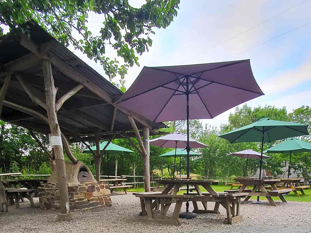 Yarde Orchard Café: Café garden