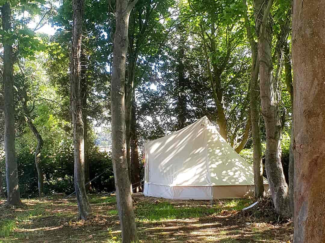 Marshwood  Copse: Bell tent exterior