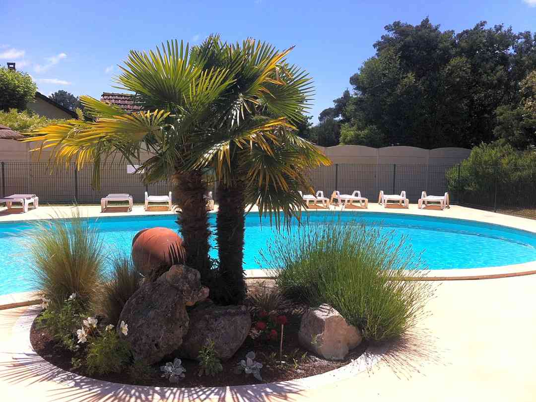 Camping En Chon Les Pins Biscarrosse Pitchup