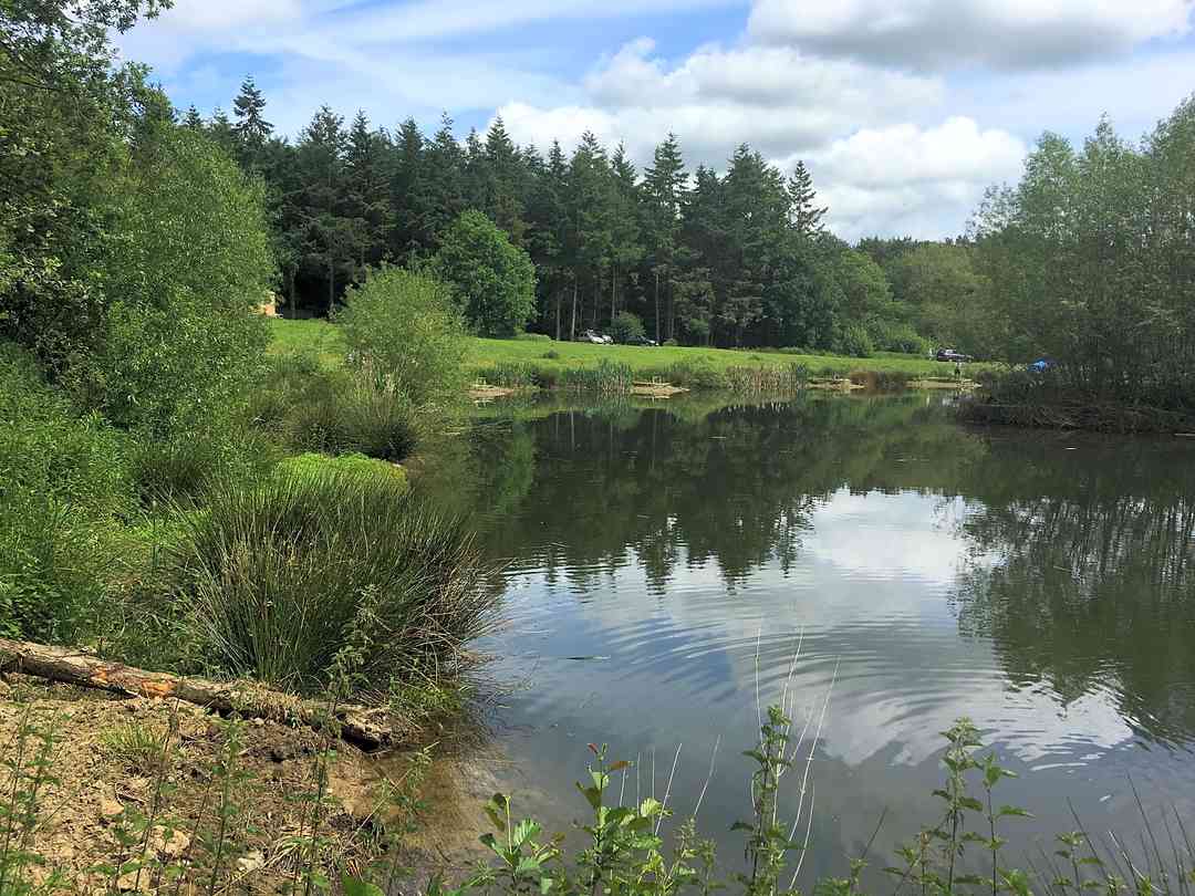Church Stretton Camp and Fish (Oaklands)