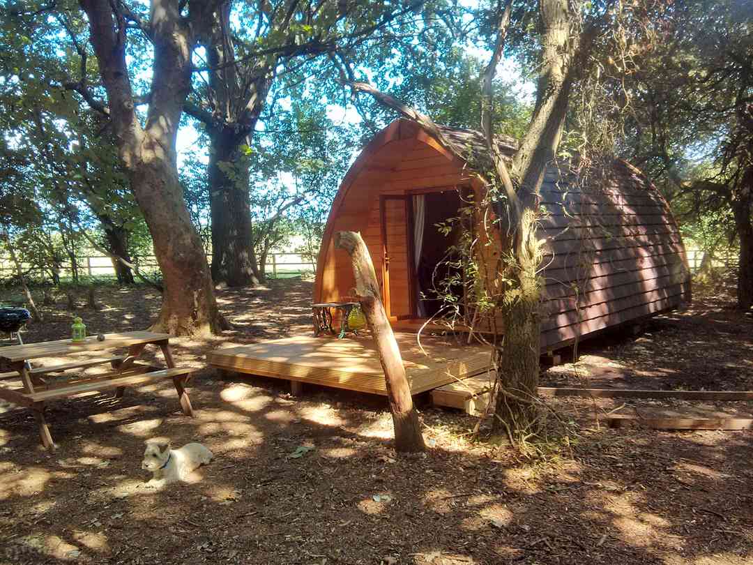 Best Campsites In Bury St Edmunds Suffolk 2021 From 6 Book 99 Campsites On Pitchup