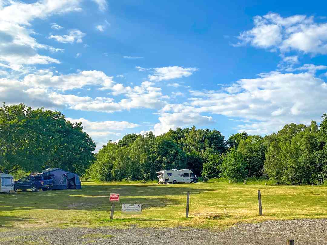 Lupine Woods Camping