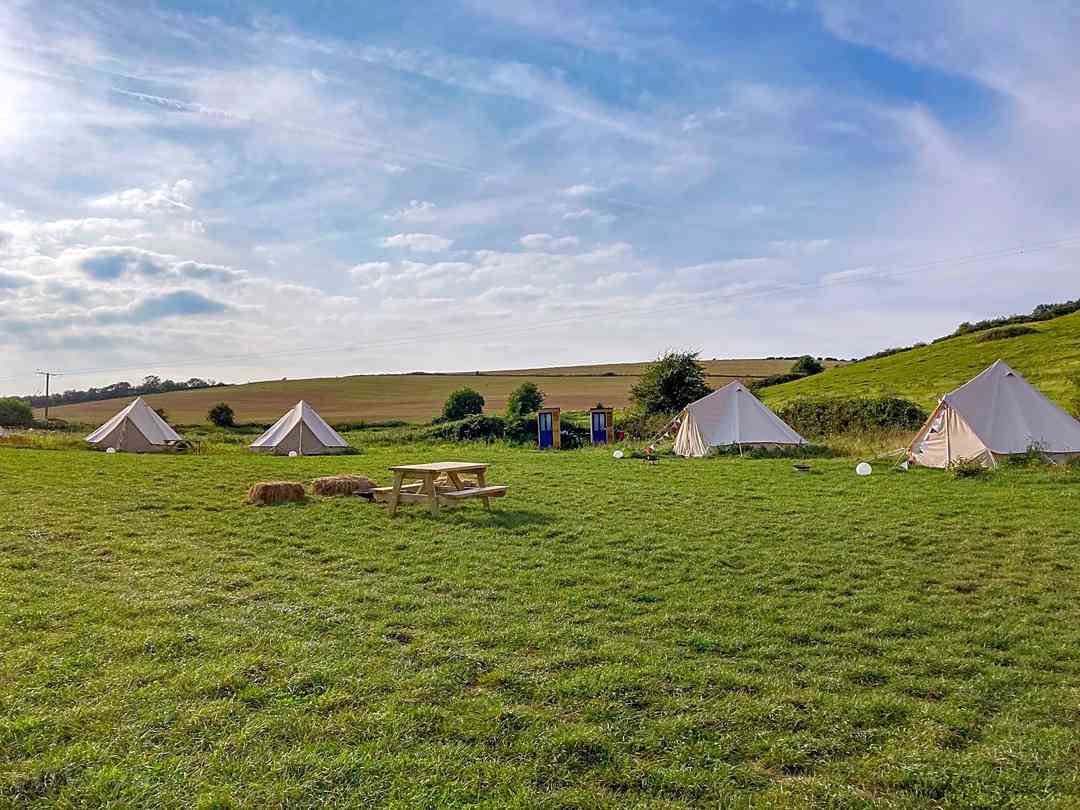 Beau and Bell at South Farm (fotot lades till av föreståndaren 2023-04-13)