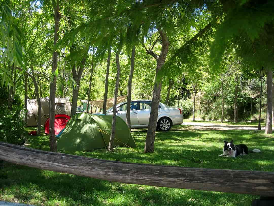 Camping Trevélez: Camping pitches