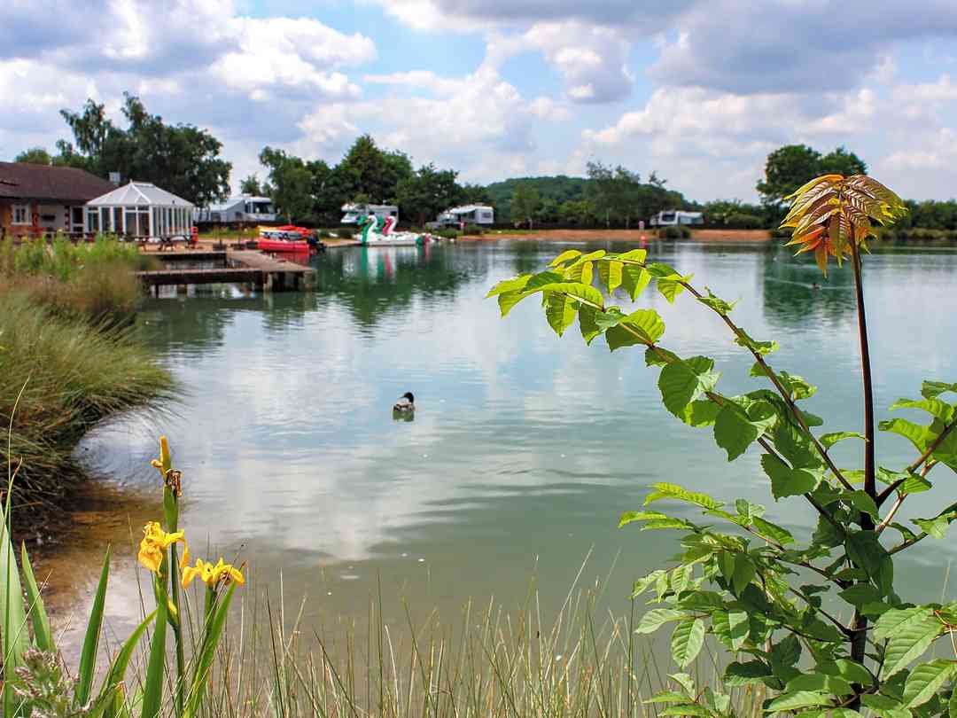 Bosworth Lakeside Lodges: Lake view