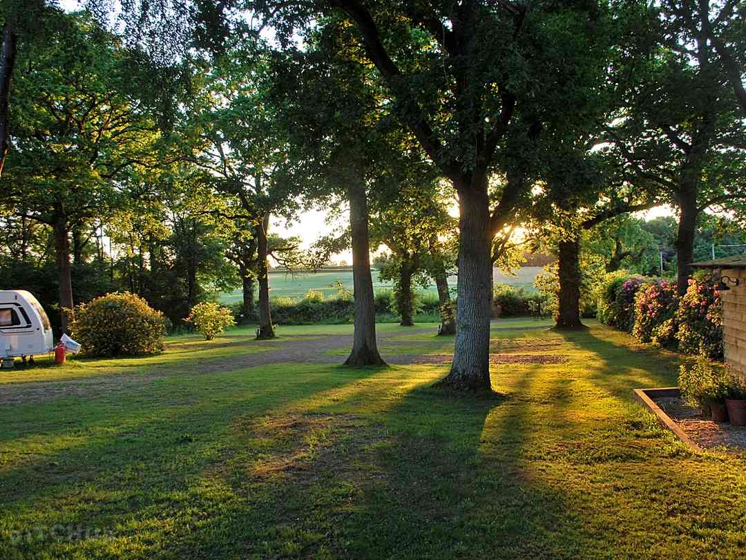 Dapplewood Caravan Site Wimborne Updated 2020 Prices Pitchup