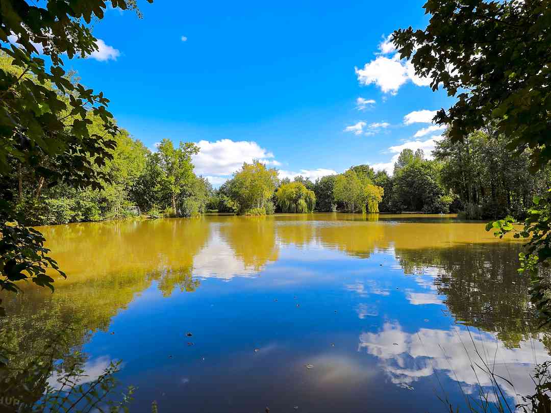 The Oaks Lakes Caravan Park
