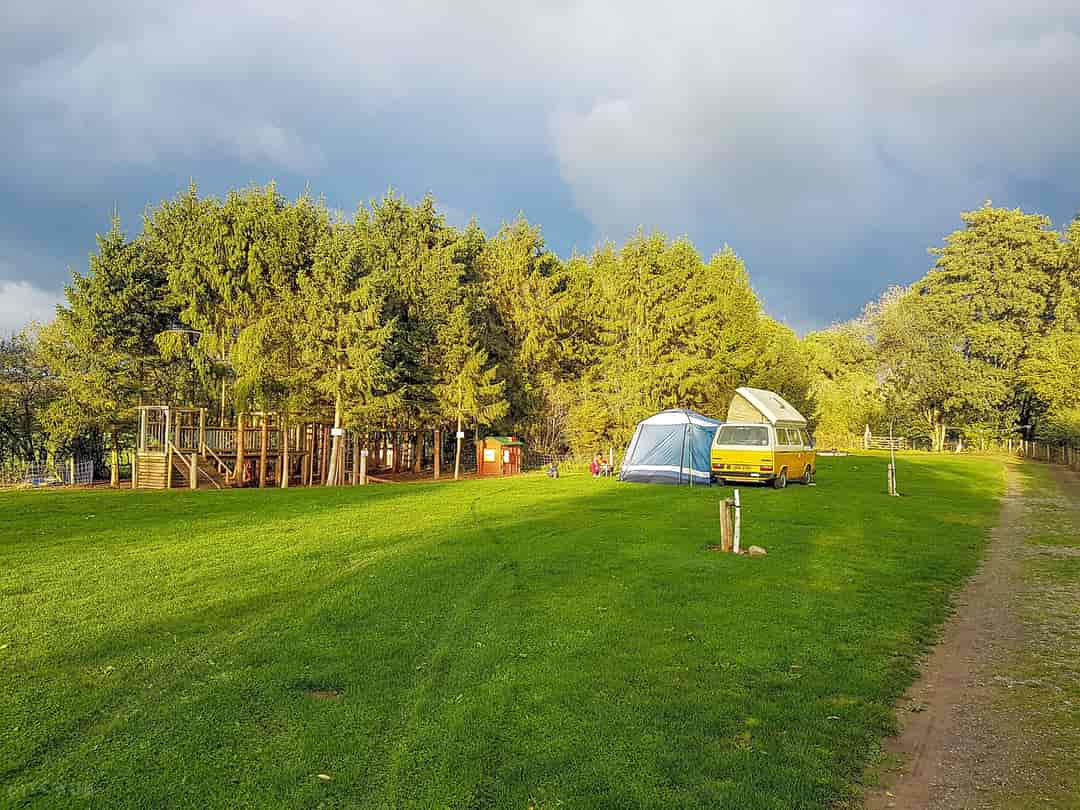 Kingfisher Meadow Camping and Caravanning Park: site pitches