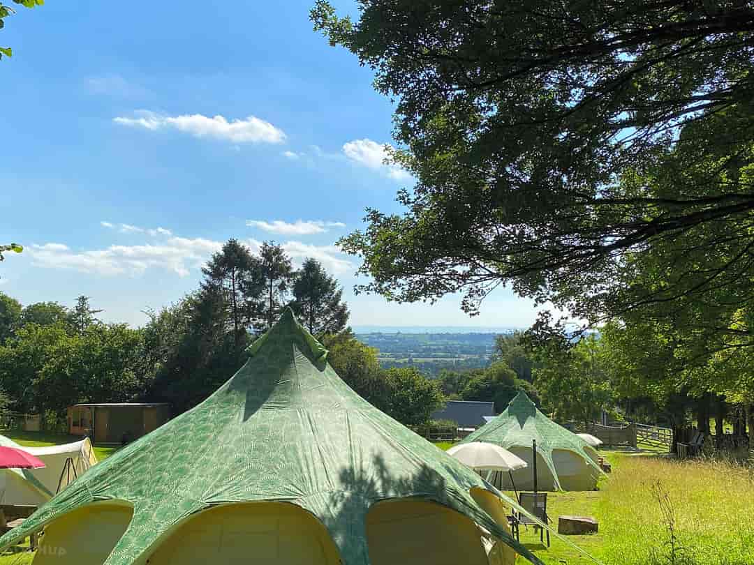 Owley Woods Glamping