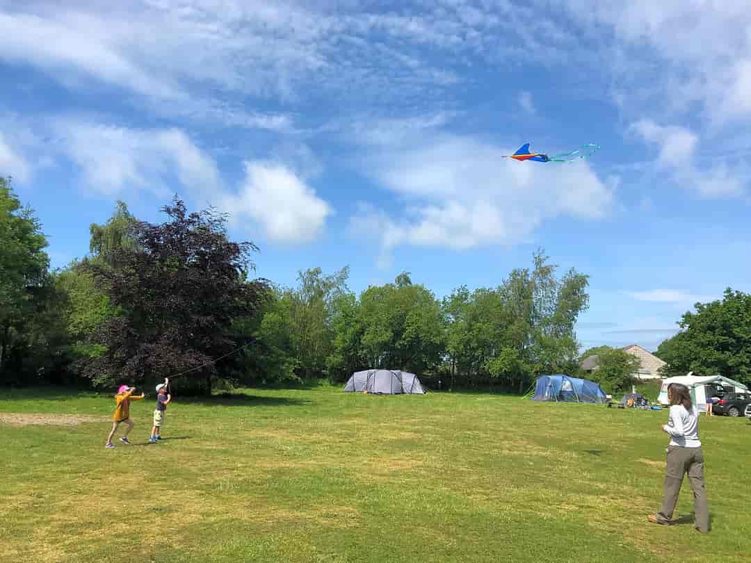 Luckford Wood Caravan and Camping: Grass pitches