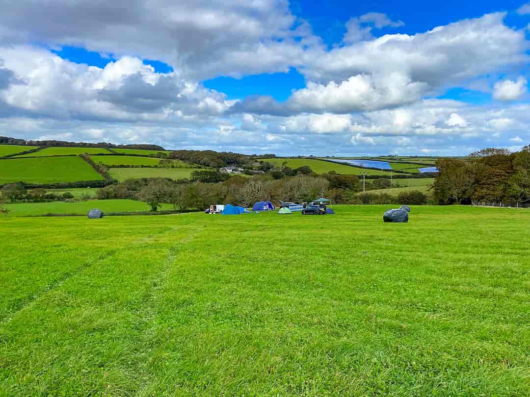 Cedar Farm Camping: Visitor image of the field