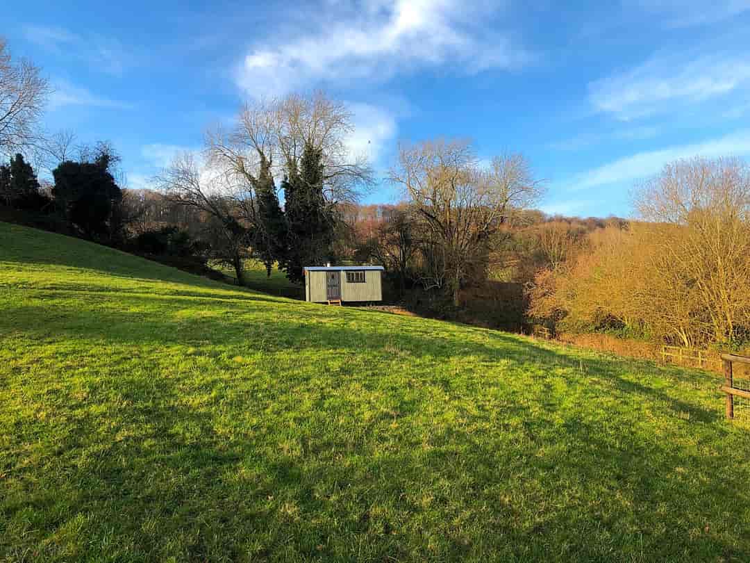 Steanbridge Farm: Secluded shepherd's hut