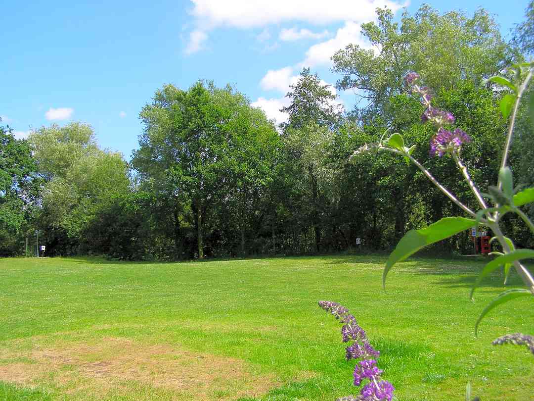 Find The Best Touring Caravan Sites In Norfolk Pitchup