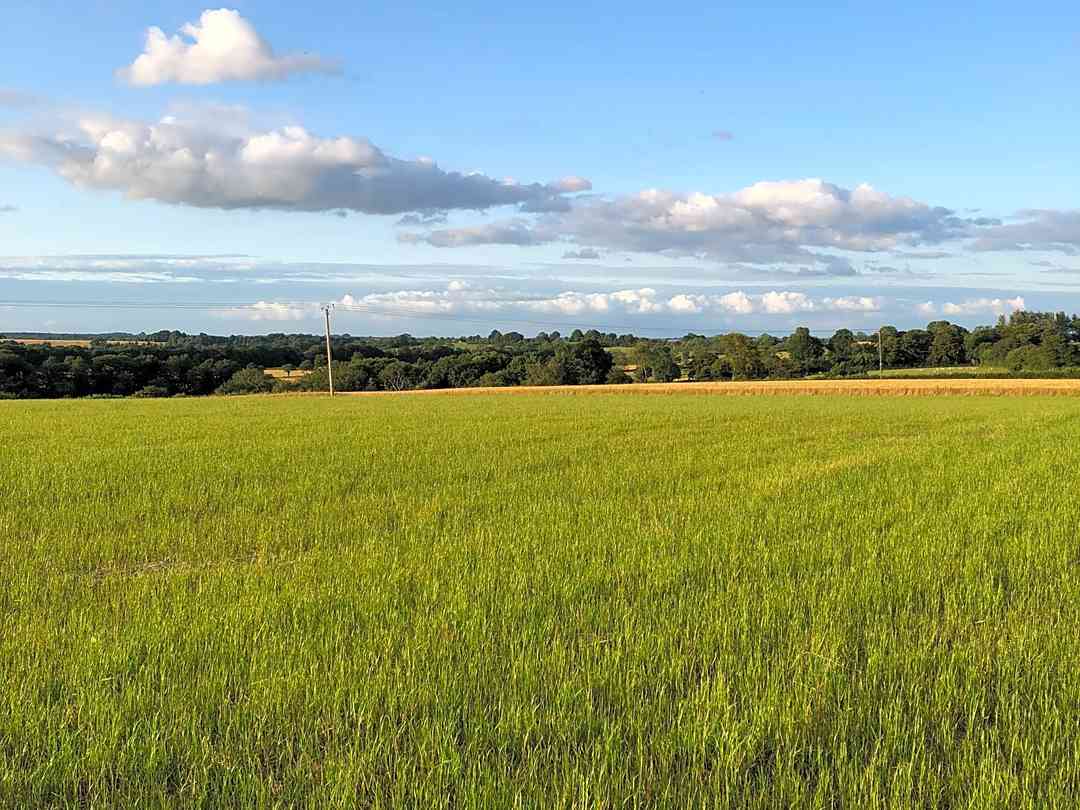 Stancombe Ash Farm: Our site is nestled in the Cotswold Area of Outstanding Natural beauty