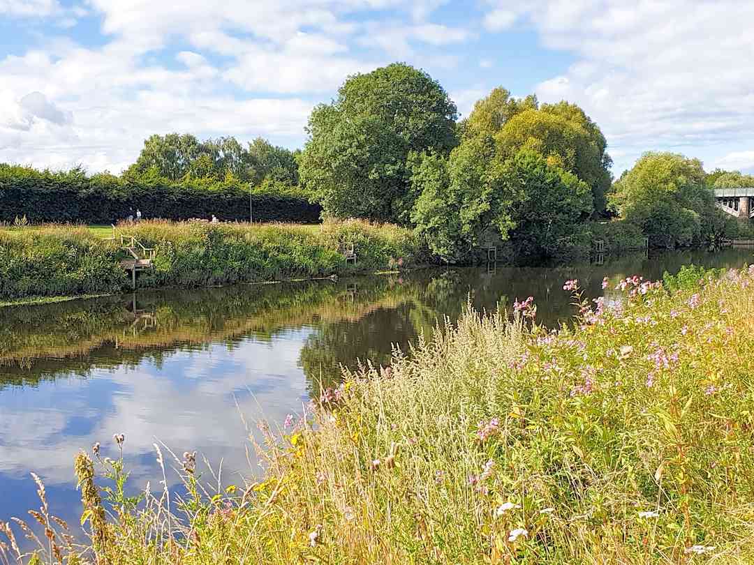 Hereford Rowing Club: River Wye adjacent to the camping