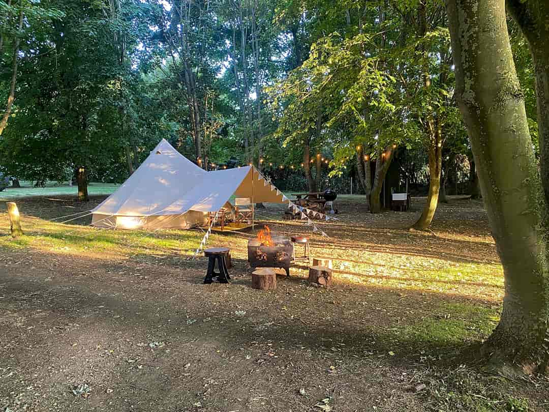 Eakley Manor Farm Glamping: The forest and bell tent at dusk