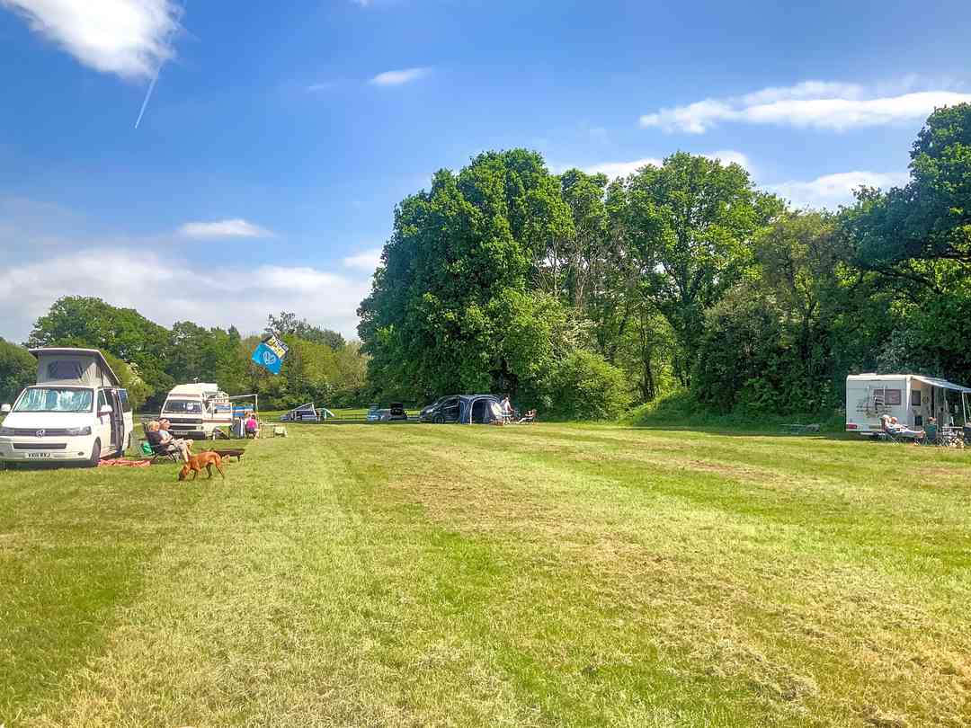 Motorhome field (photo added by manager on 08/20/2025) Meadow Tree Farm: Motorhome field (photo added by manager on 08/20/2025)