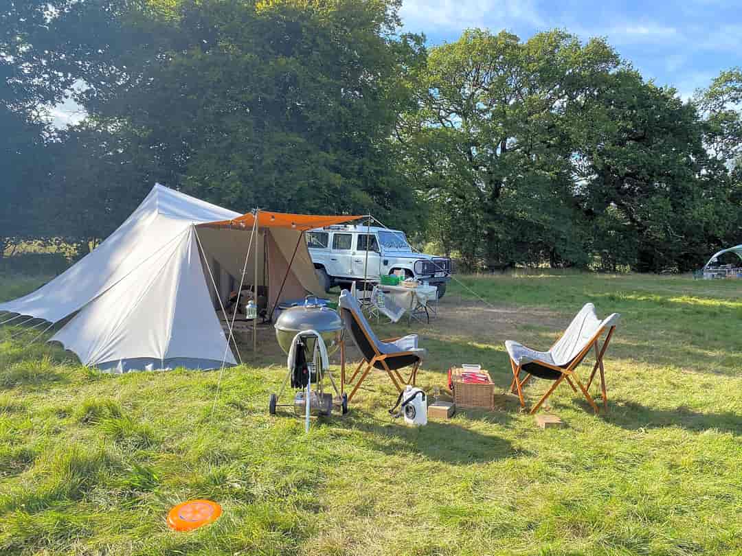 Benville Manor Camping: A spacious grass pitch