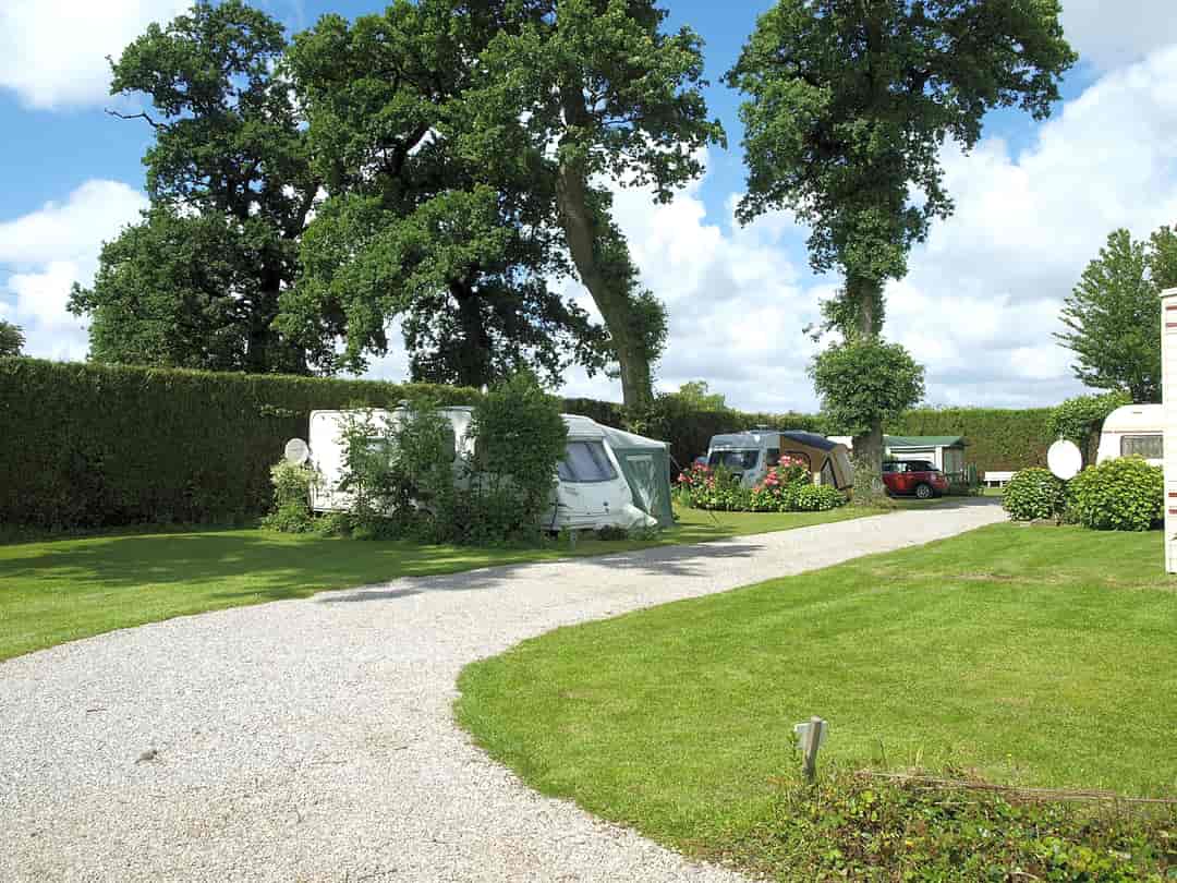 Camping Caravanning Saint Louis: Campsite alley and pitches